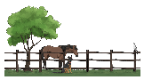 Country Haven Veterinary Services Logo